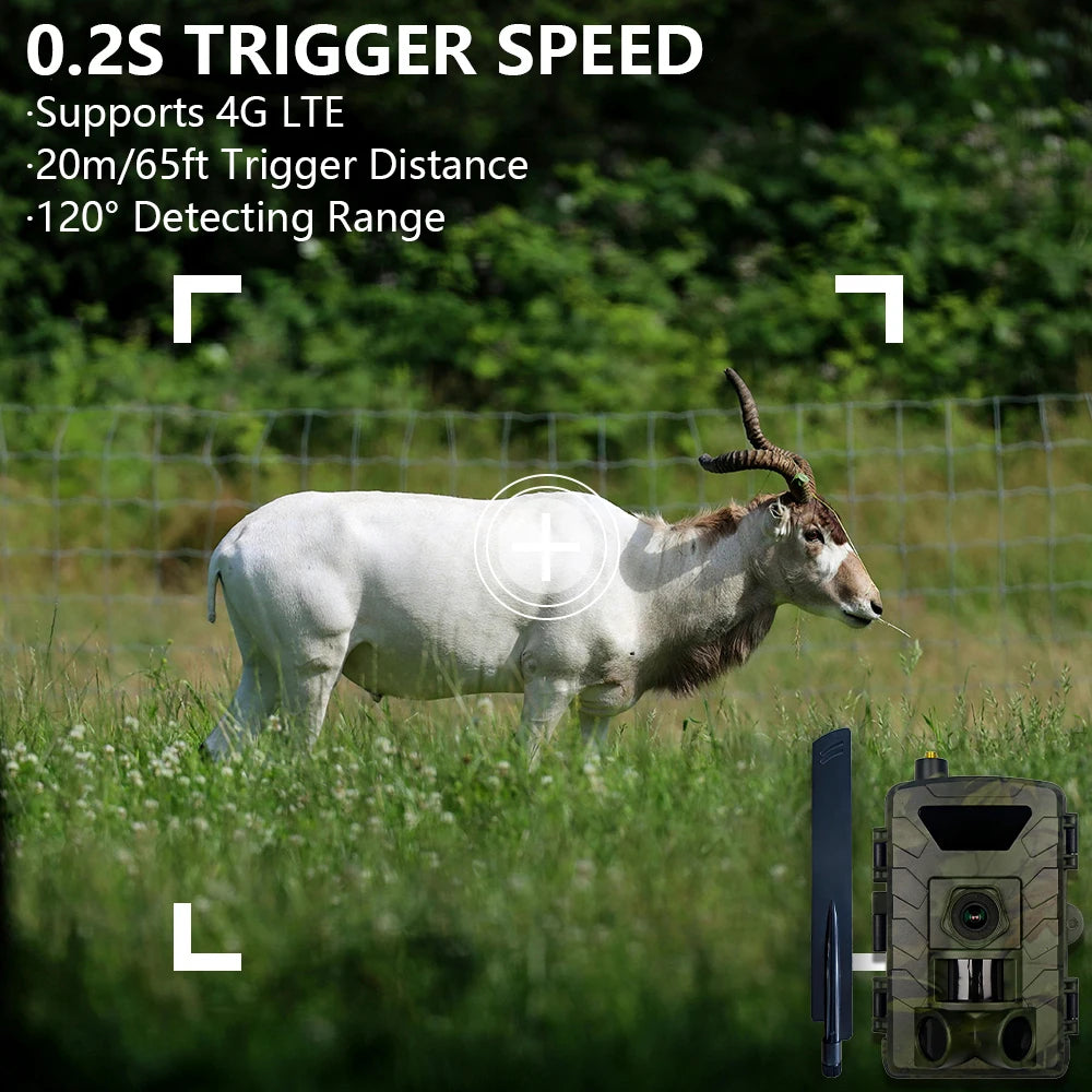 Fargarloo 4G App Controlled Trail Camera 60MP 1296P Night Vision