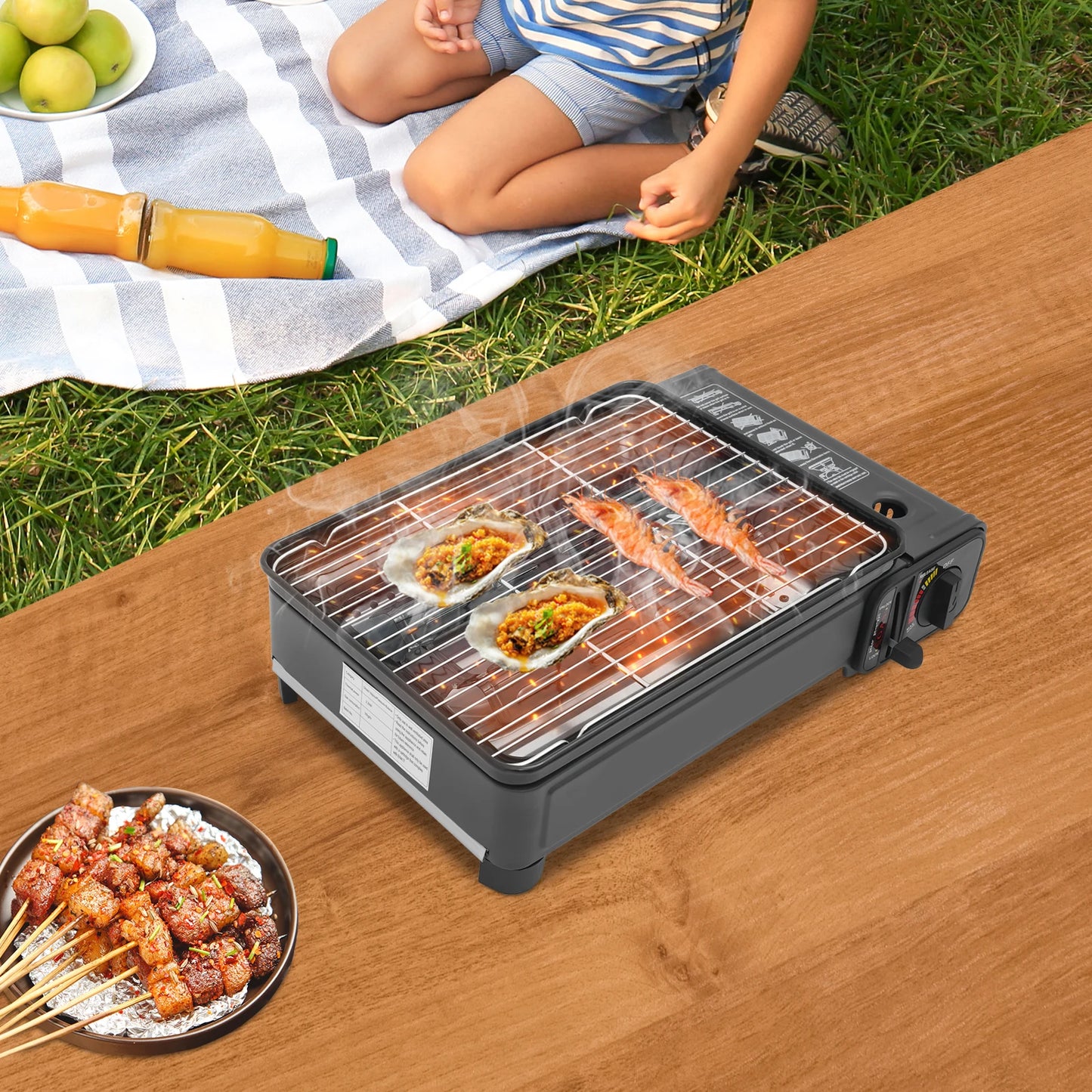 Portable Gas Barbecue Stove for Outdoor Camping with Carrying Case