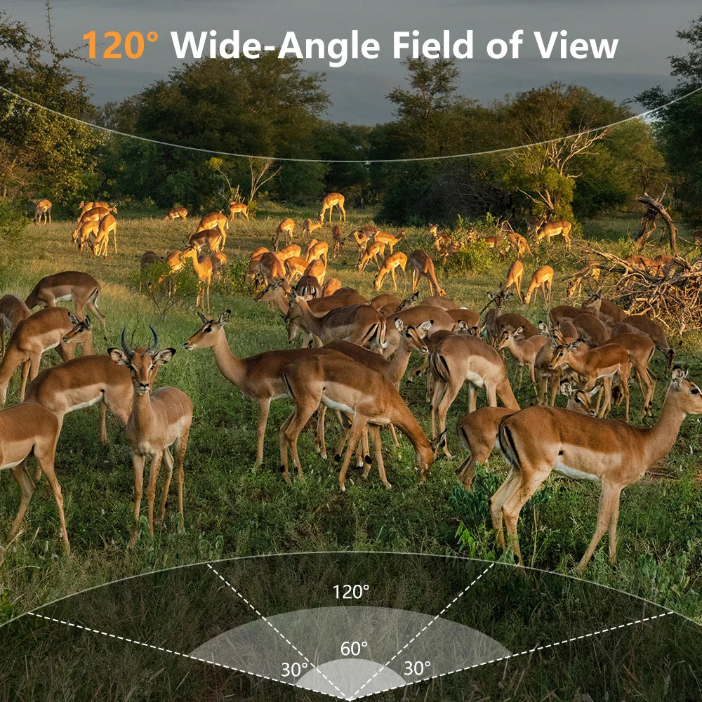 Fargarloo WiFi Trail Camera 60MP With App Control IP66