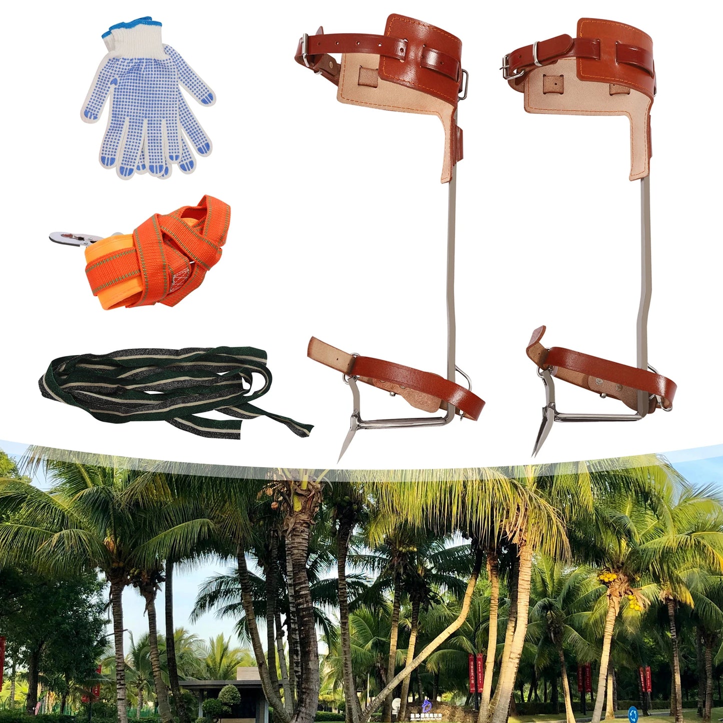 Tree Climbing Spike Gear Pedal Tool for Tree Work and Fruit Picking