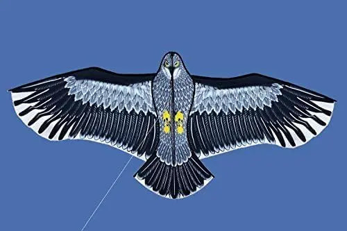 Outdoor Eagle Kite With Handle Line for Adults and Kids