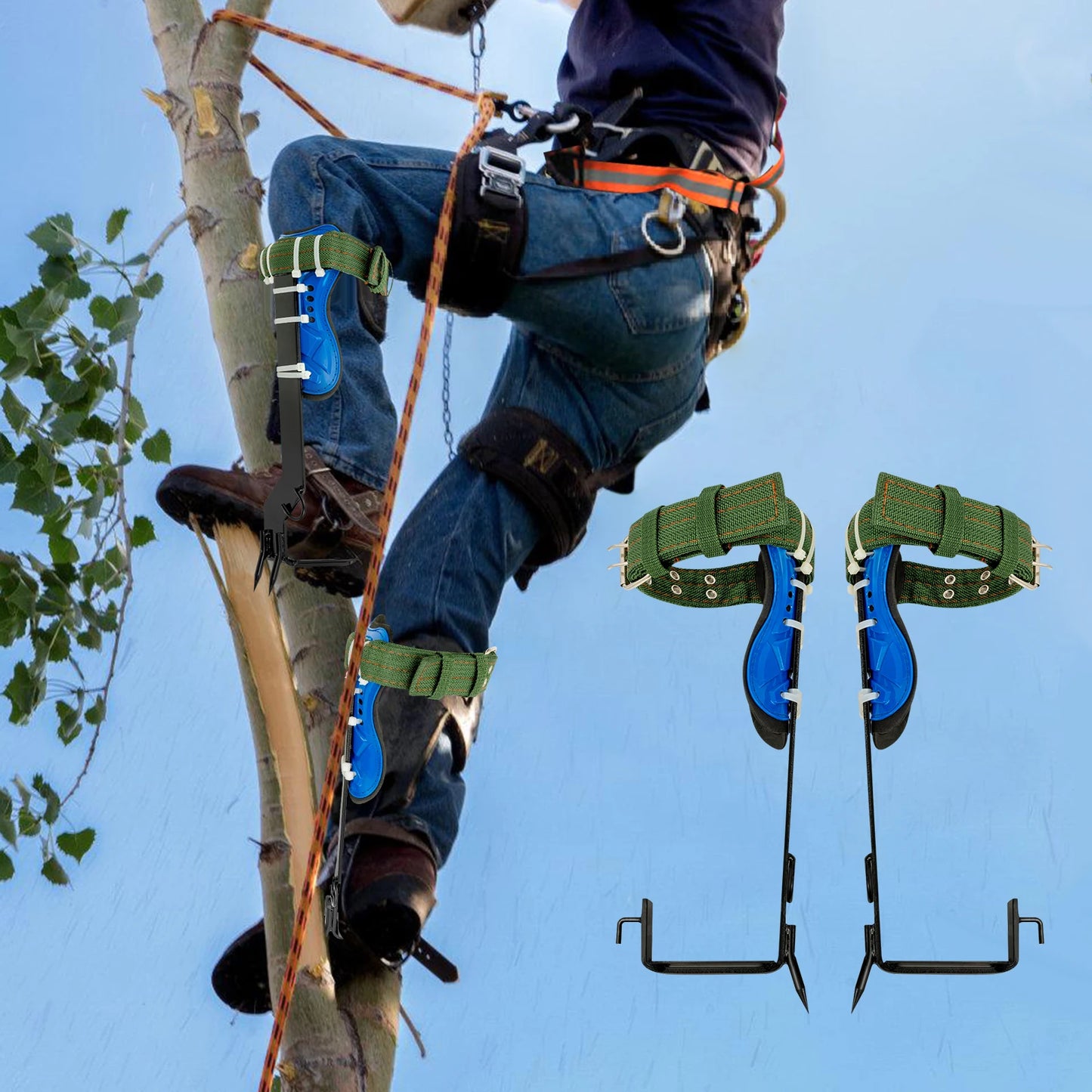 Tree Climbing Spikes Kit With Safety Harness Gloves Double Teeth